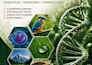 design educational workbook, textbook, curriculum plan and kdp book cover